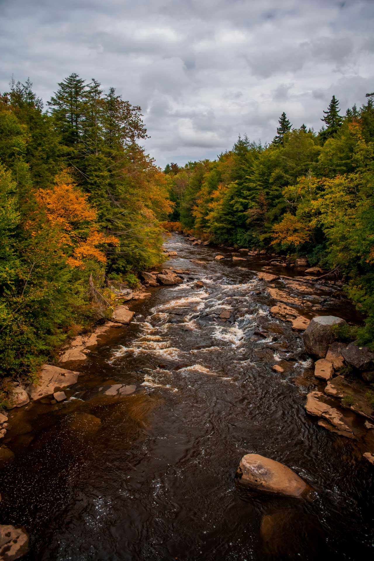 Autumn river scene in Central New York
